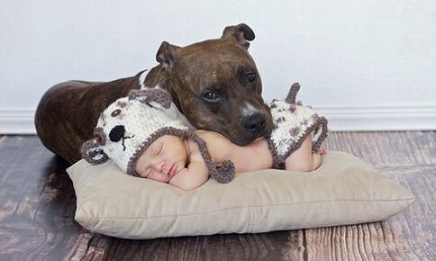 E Kand mat engem Hond