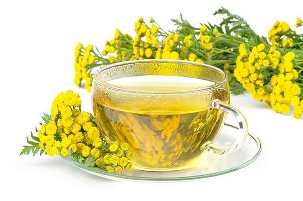 Tansy Abkochung fir Parasiten