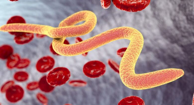 Parasitär Organismen